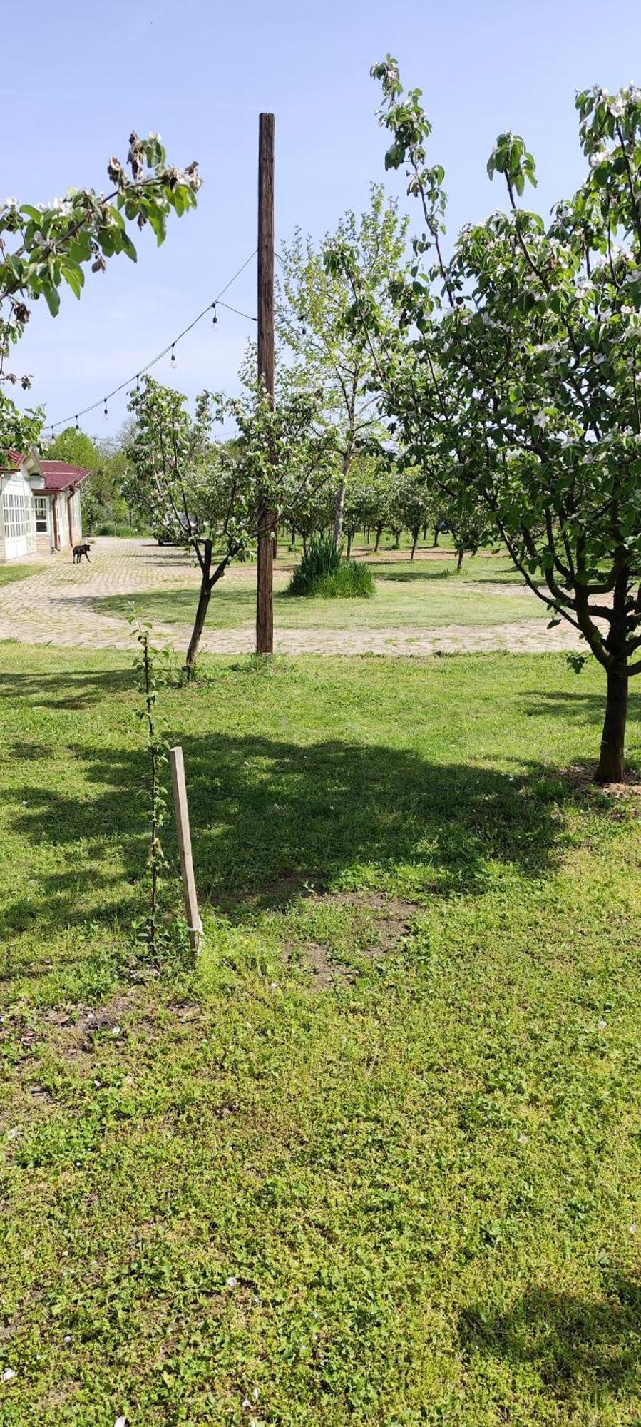 Salas Farma 47-Miris Dunja Cenej Экстерьер фото