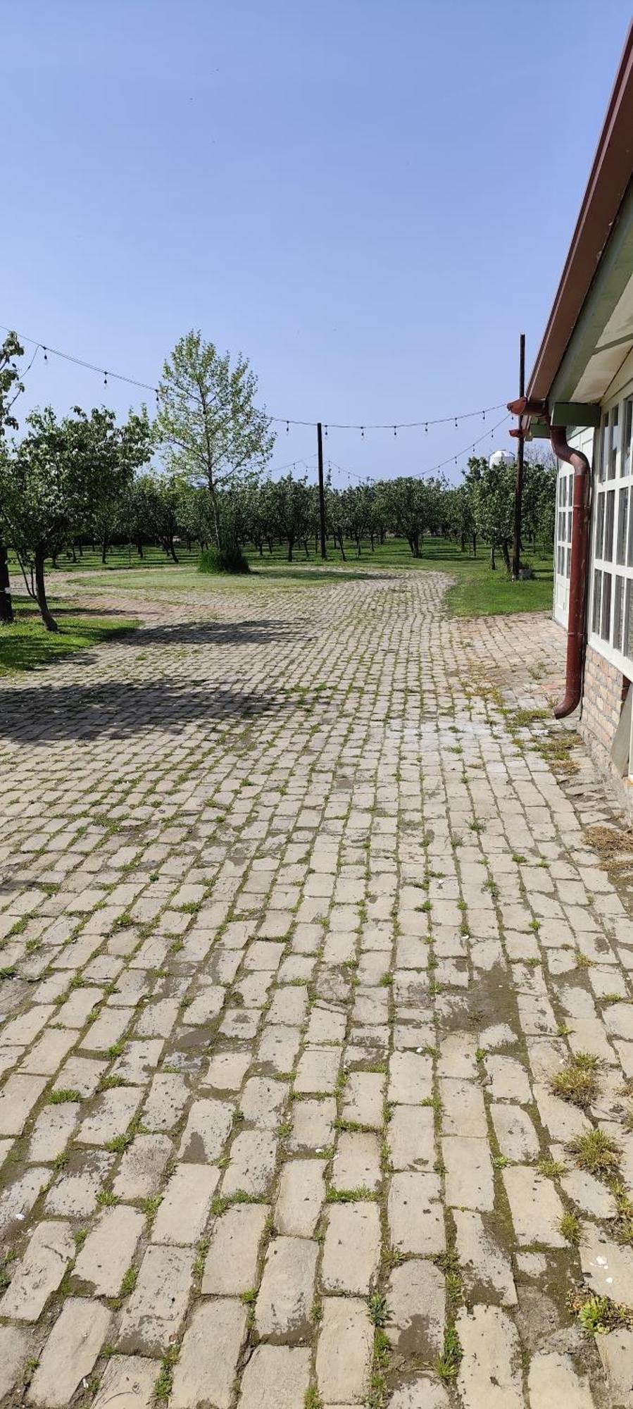 Salas Farma 47-Miris Dunja Cenej Экстерьер фото