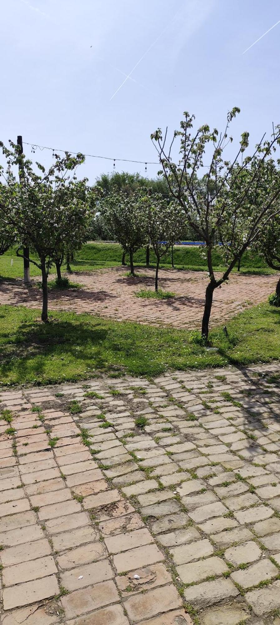 Salas Farma 47-Miris Dunja Cenej Экстерьер фото