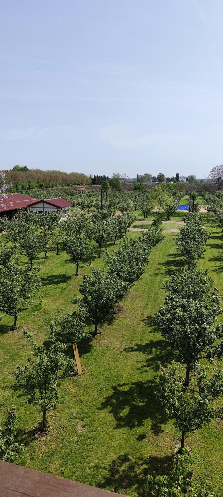 Salas Farma 47-Miris Dunja Cenej Экстерьер фото