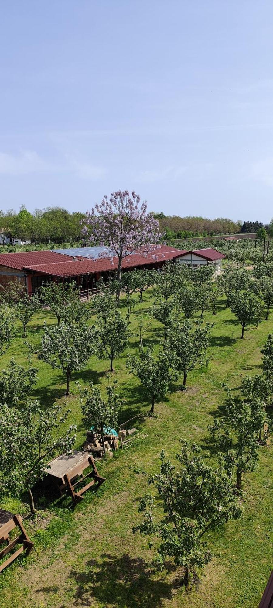 Salas Farma 47-Miris Dunja Cenej Экстерьер фото