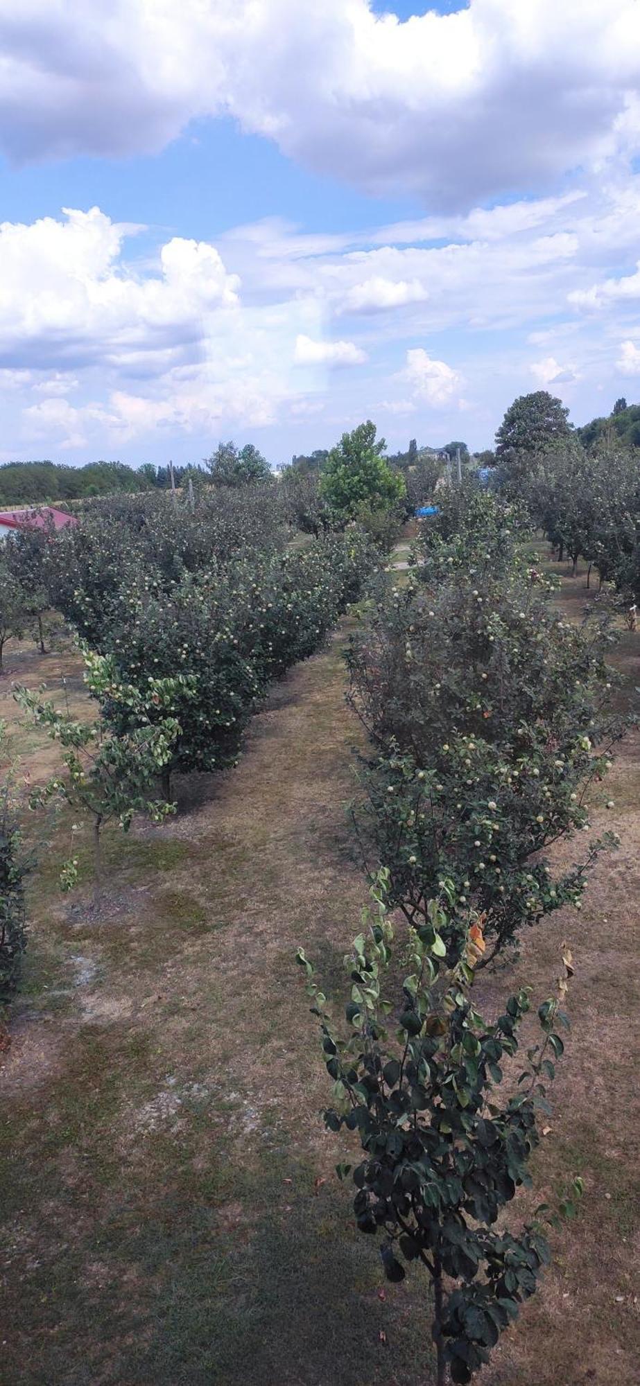 Salas Farma 47-Miris Dunja Cenej Экстерьер фото