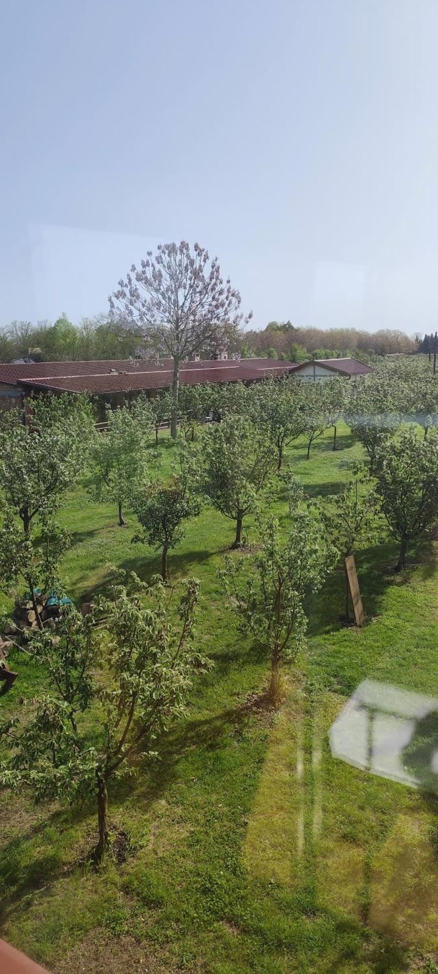Salas Farma 47-Miris Dunja Cenej Экстерьер фото